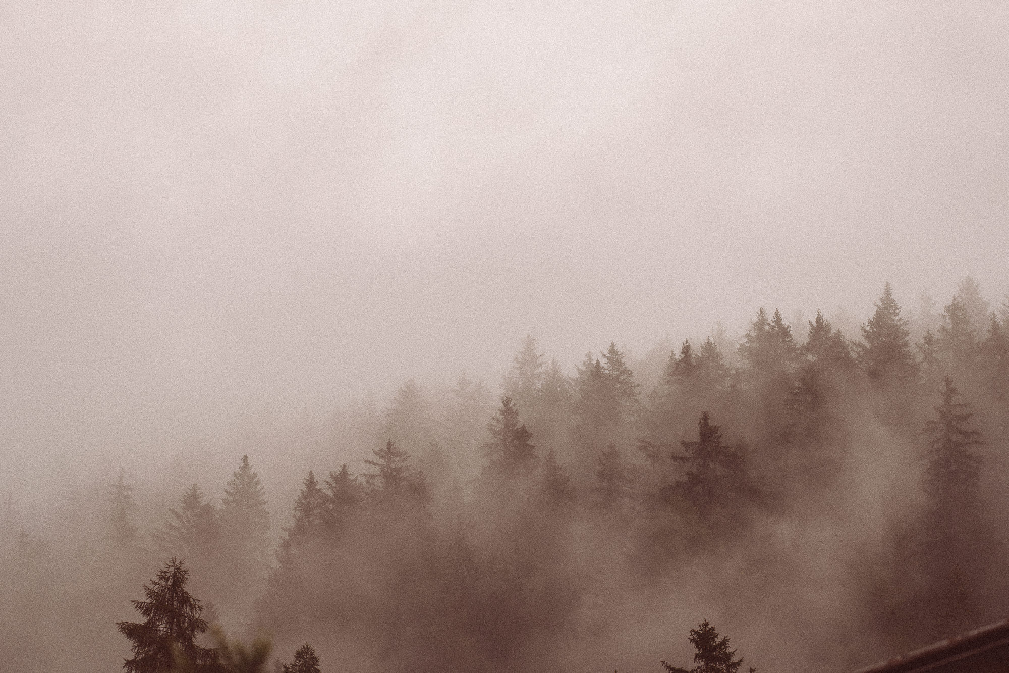 Export x3 1DX23868 Fotoshooting 2018 Annette & Mike Nauders 4